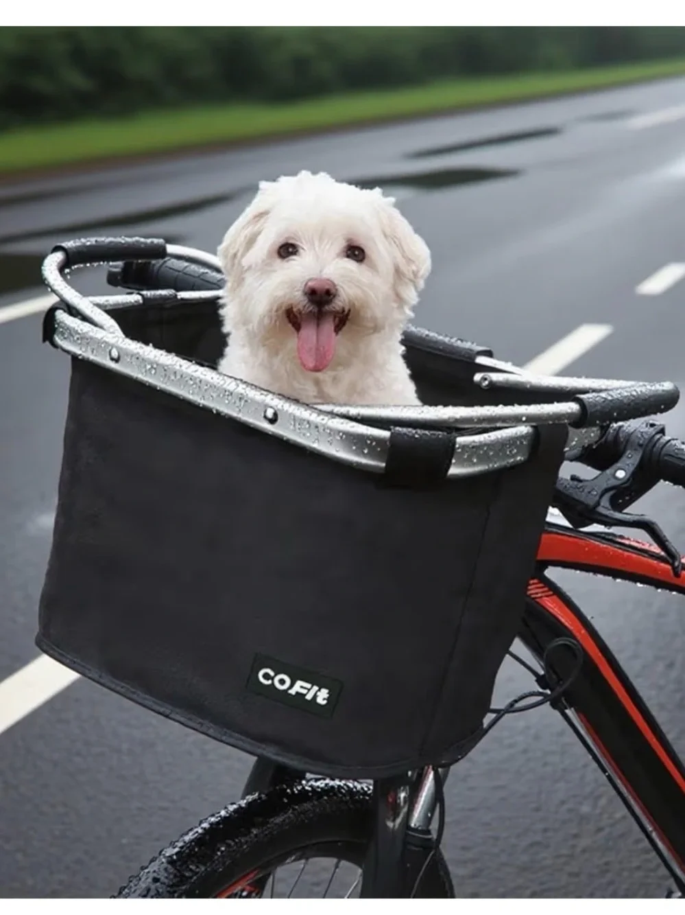 Front Bike Pet Basket - Secure Dog Carrier